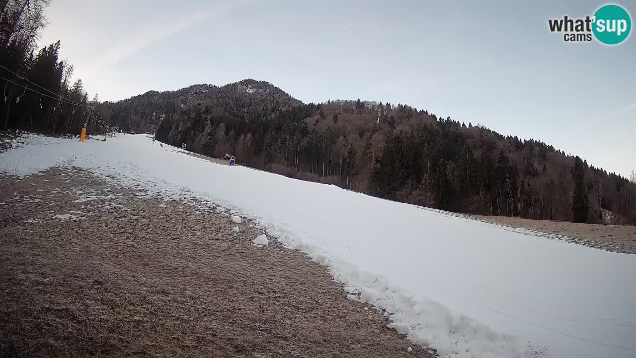 Esquí Kranjska Gora | Brsnina