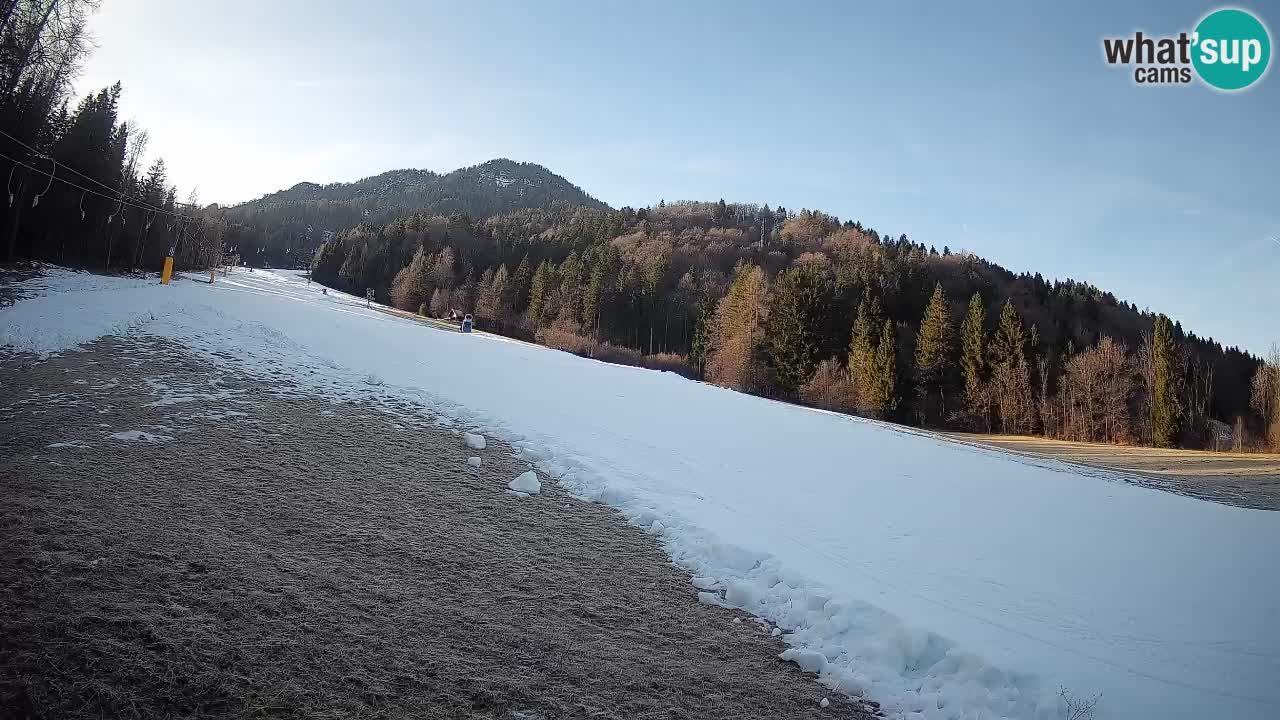 Kranjska Gora Station de ski | Brsnina
