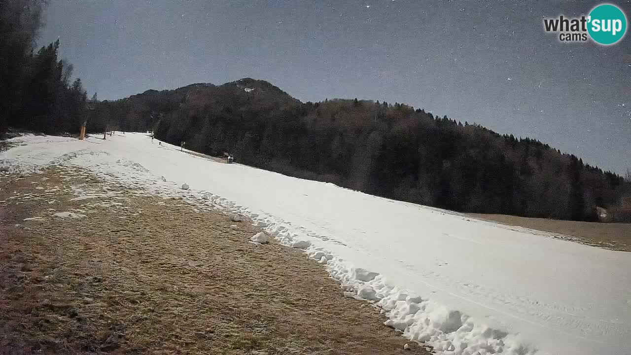Ski Kranjska Gora | Brsnina