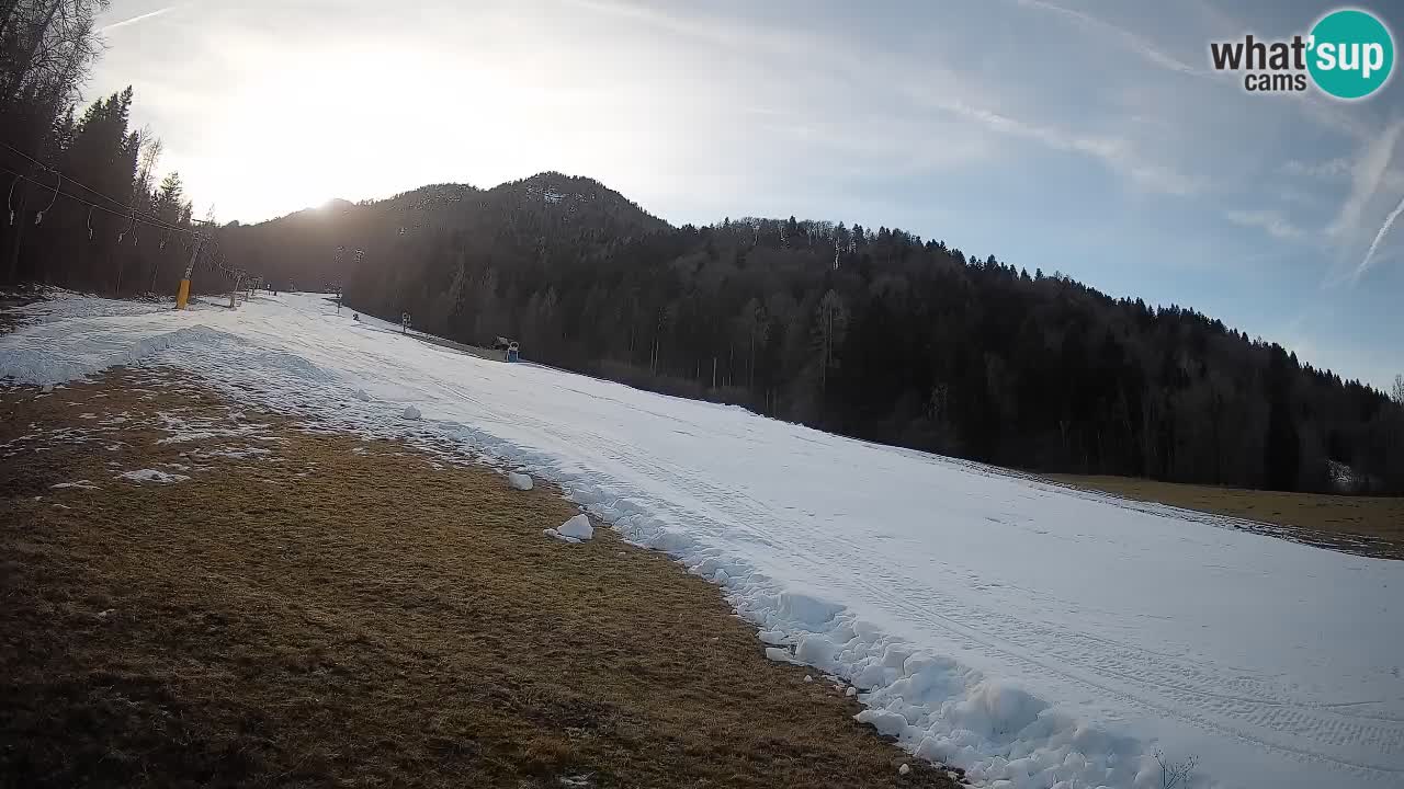 Ski Kranjska Gora | Brsnina