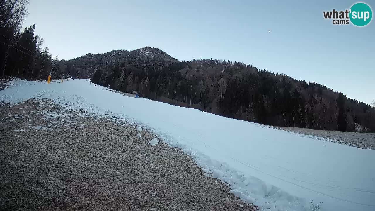 RTC Skigebiet Kranjska Gora | Brsnina