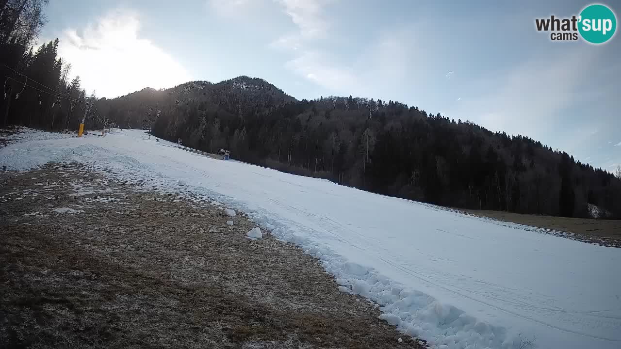 Ski Kranjska Gora | Brsnina