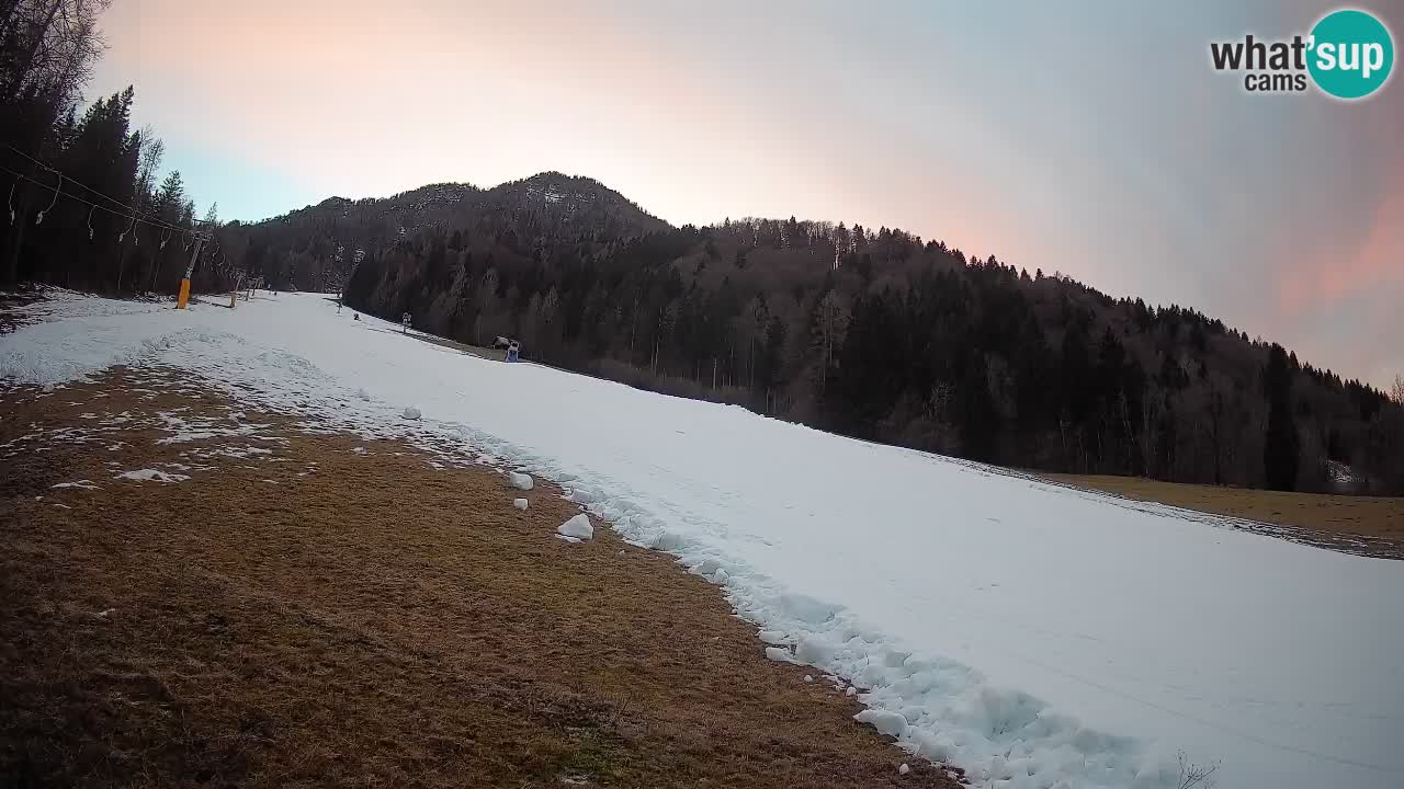 Kranjska Gora SKIJANJE | Brsnina