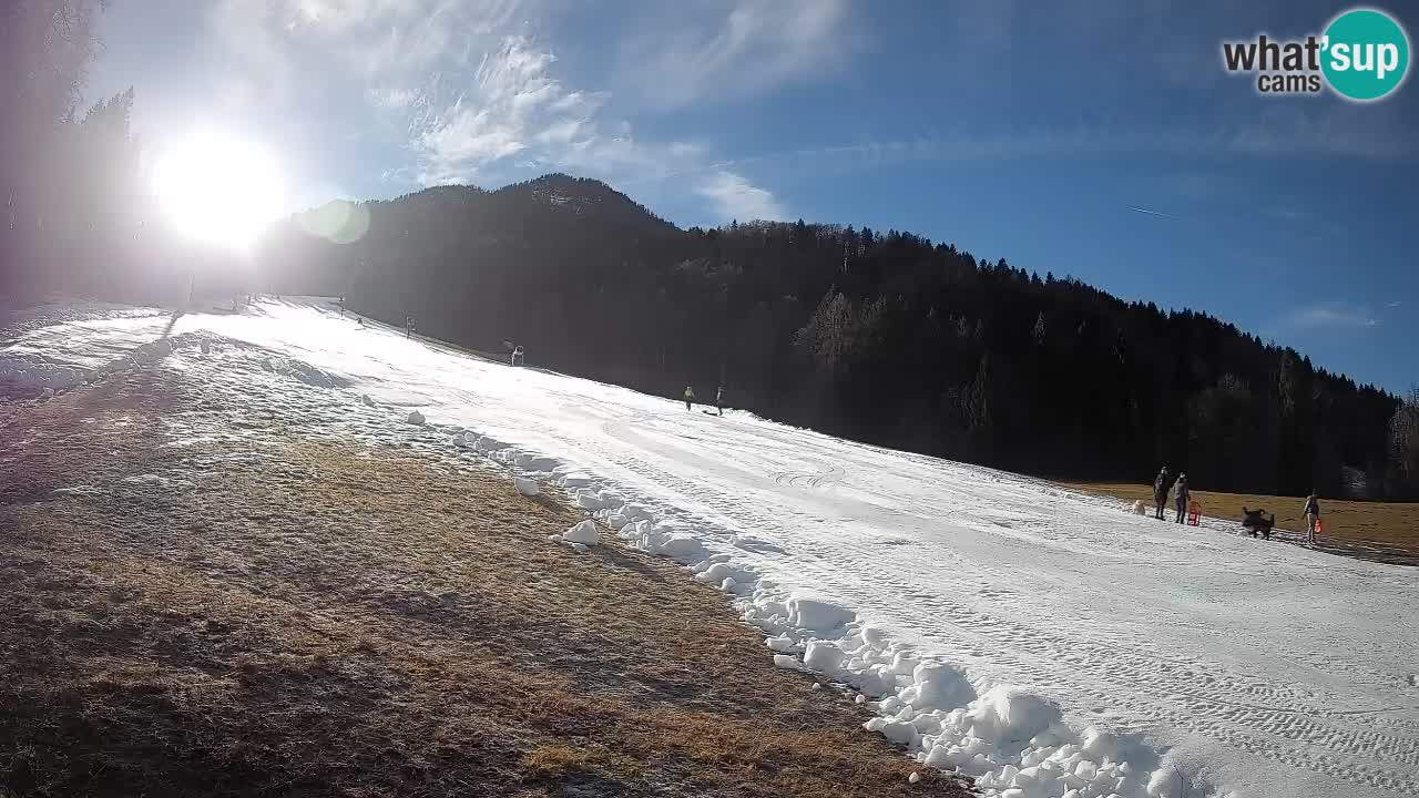 RTC Kranjska Gora | Brsnina