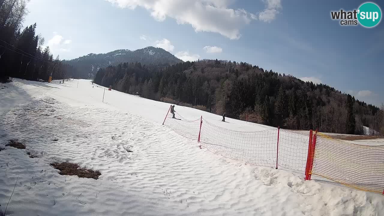 Esquí Kranjska Gora | Brsnina