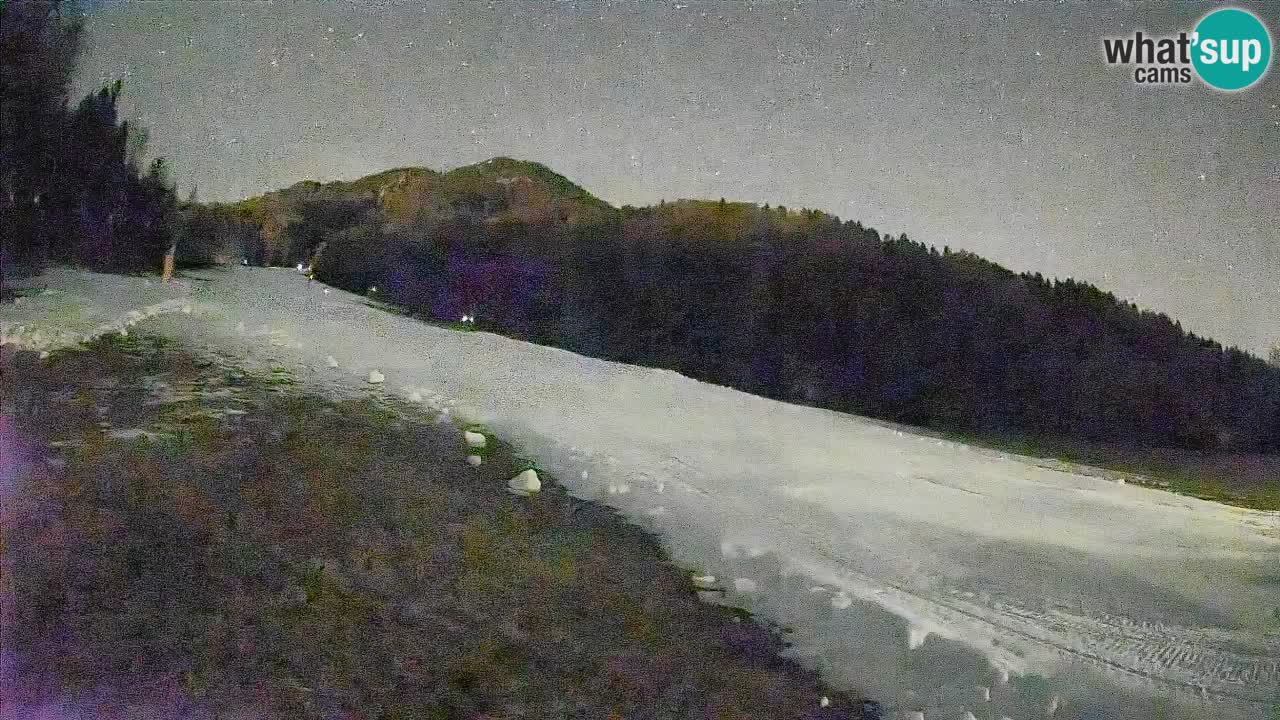 Ski Kranjska Gora | Brsnina