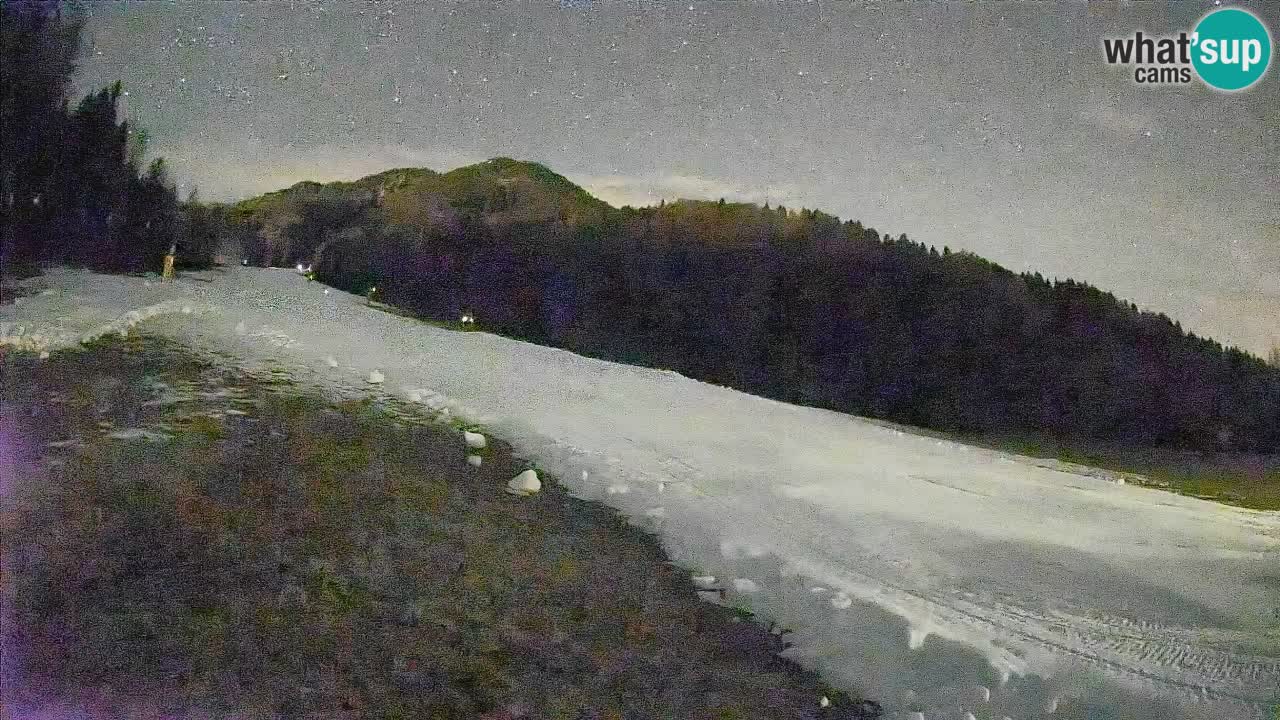 Kranjska Gora Station de ski | Brsnina