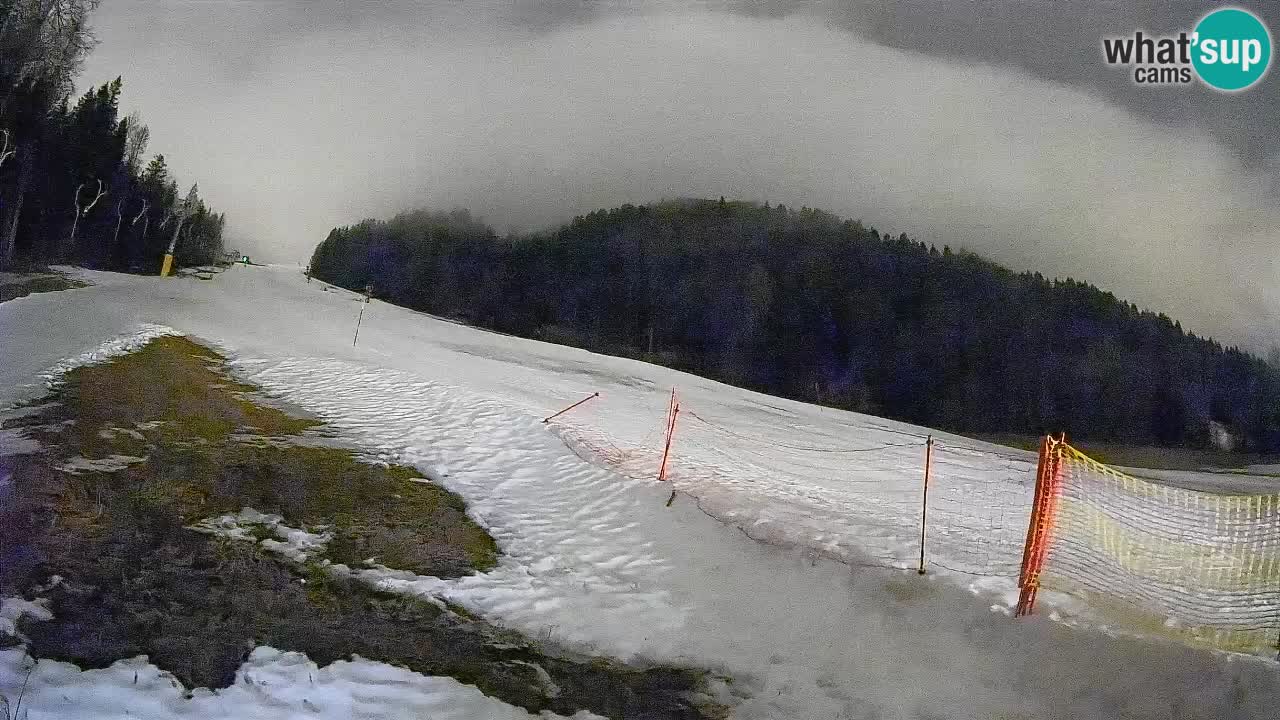 Esquí Kranjska Gora | Brsnina