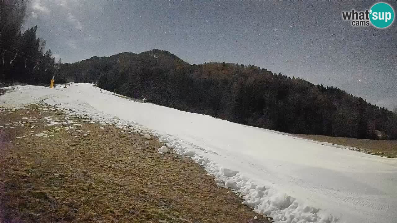 RTC Skigebiet Kranjska Gora | Brsnina