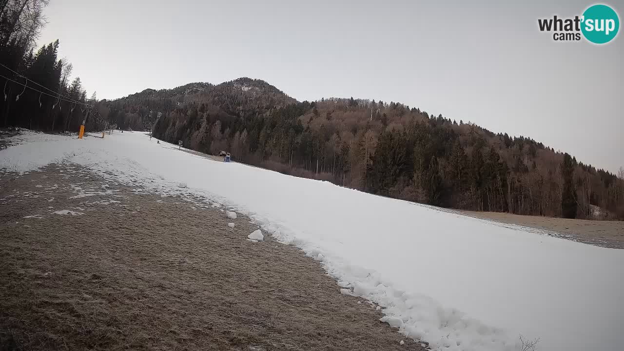 Ski Kranjska Gora | Brsnina