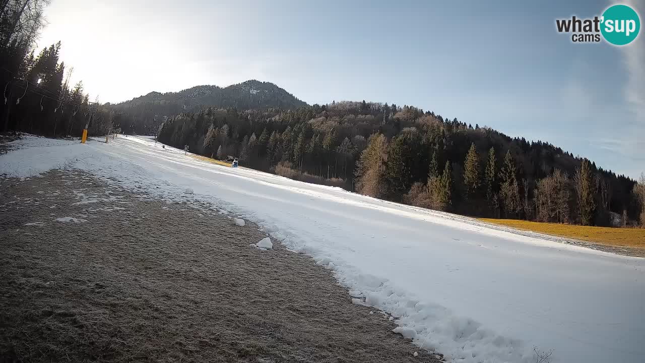 RTC Skigebiet Kranjska Gora | Brsnina