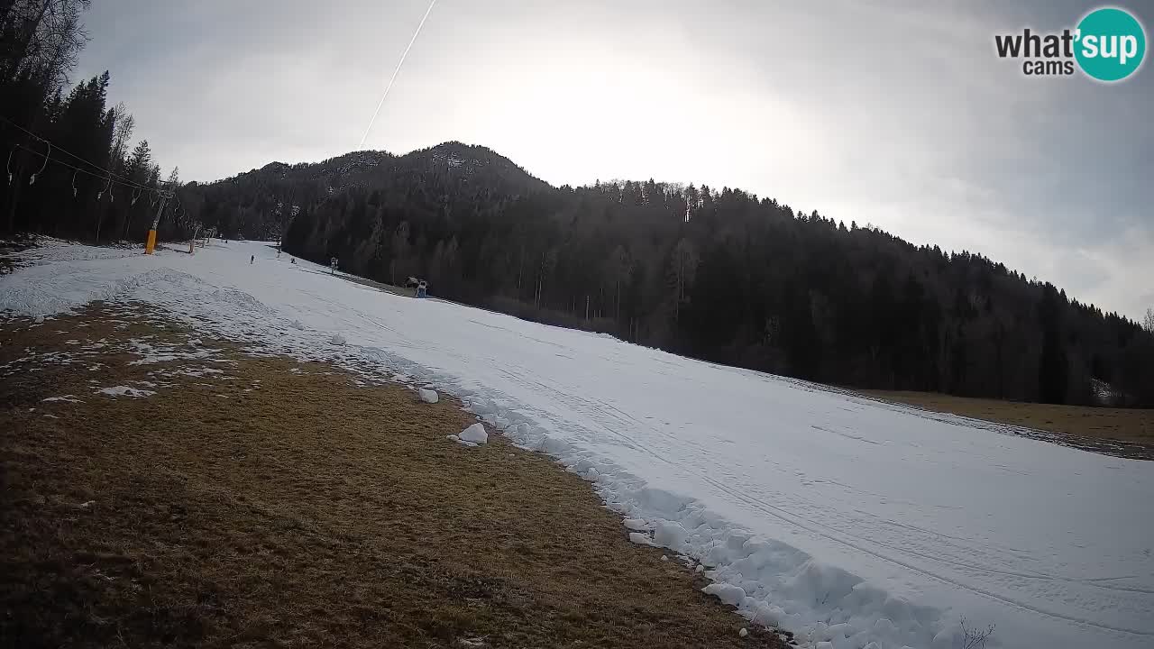 Ski Kranjska Gora | Brsnina