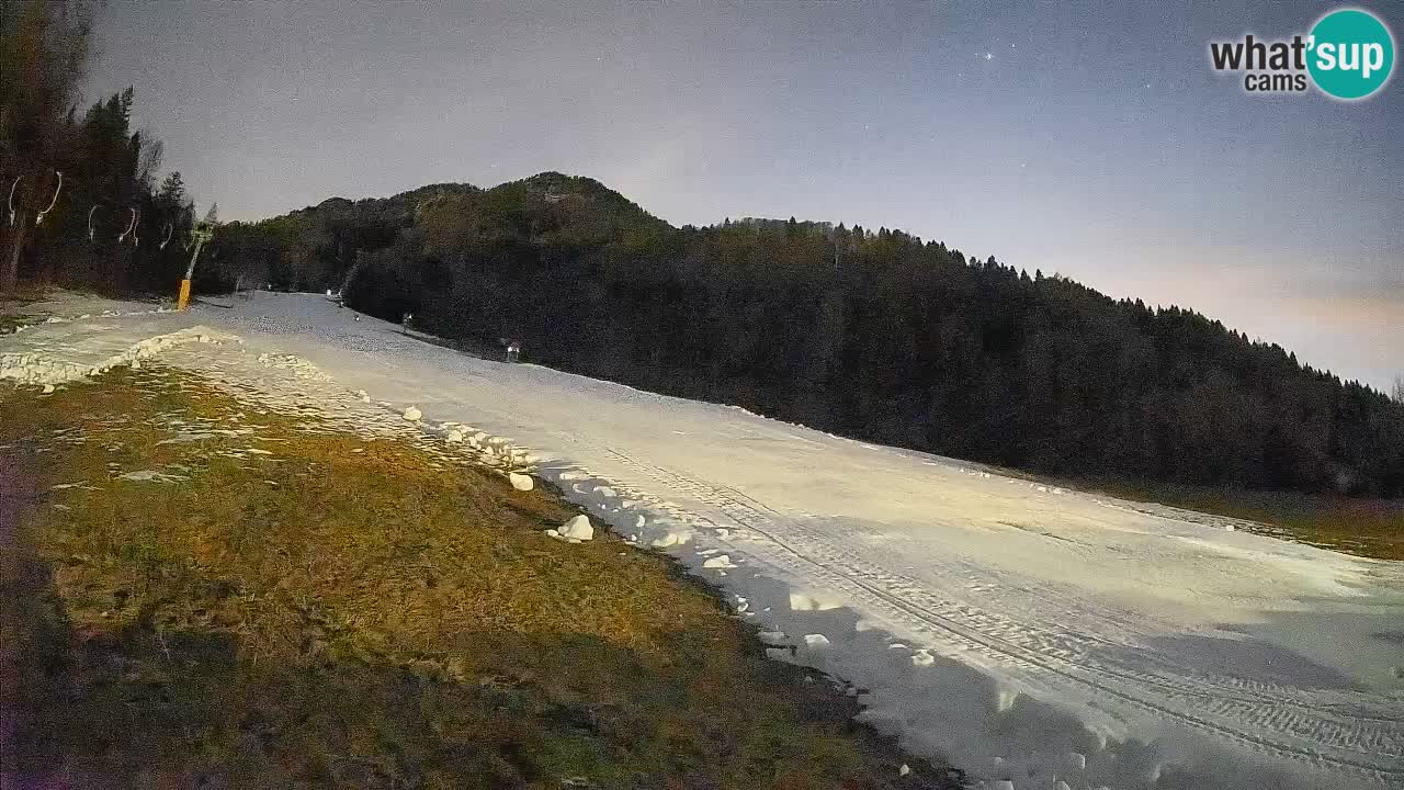 Ski Kranjska Gora | Brsnina