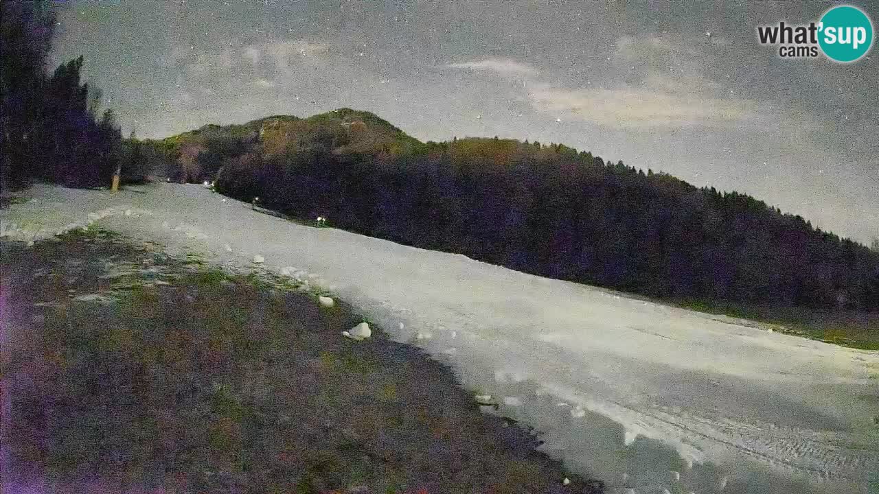 Ski Kranjska Gora | Brsnina