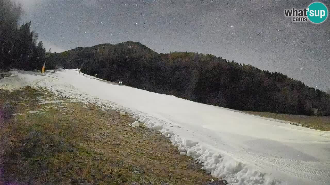 Kranjska Gora SKIJANJE | Brsnina