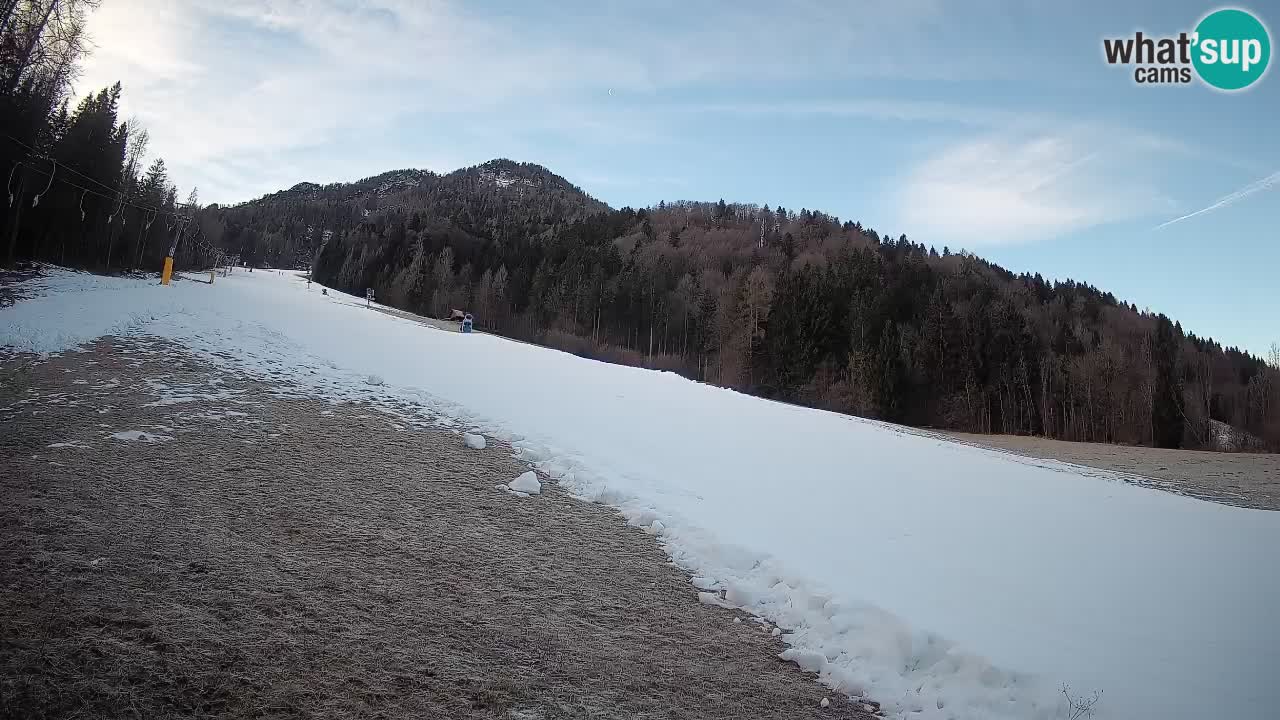 Kranjska Gora SKIJANJE | Brsnina