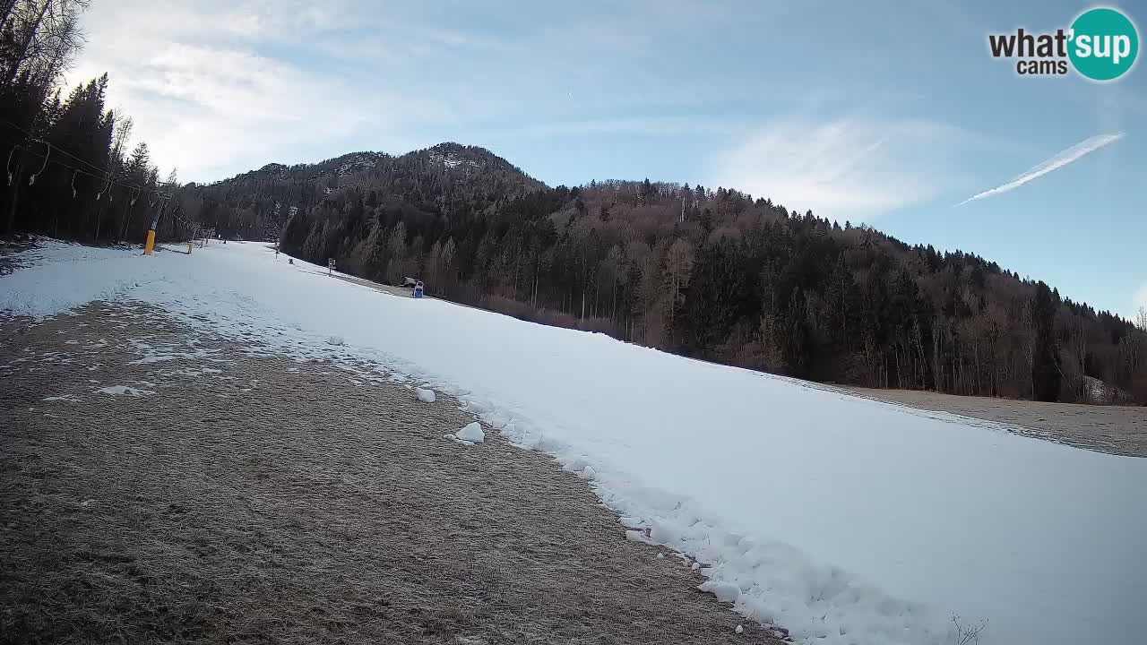 RTC Kranjska Gora | Brsnina