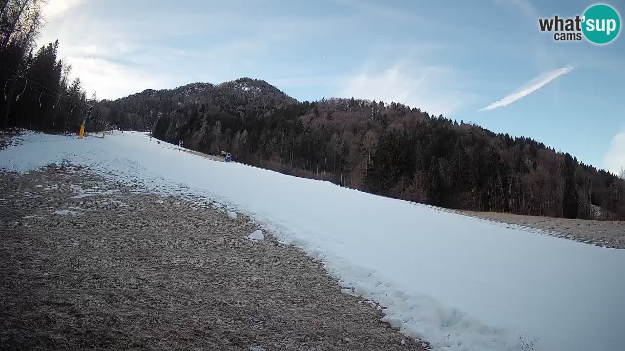 RTC Skigebiet Kranjska Gora | Brsnina