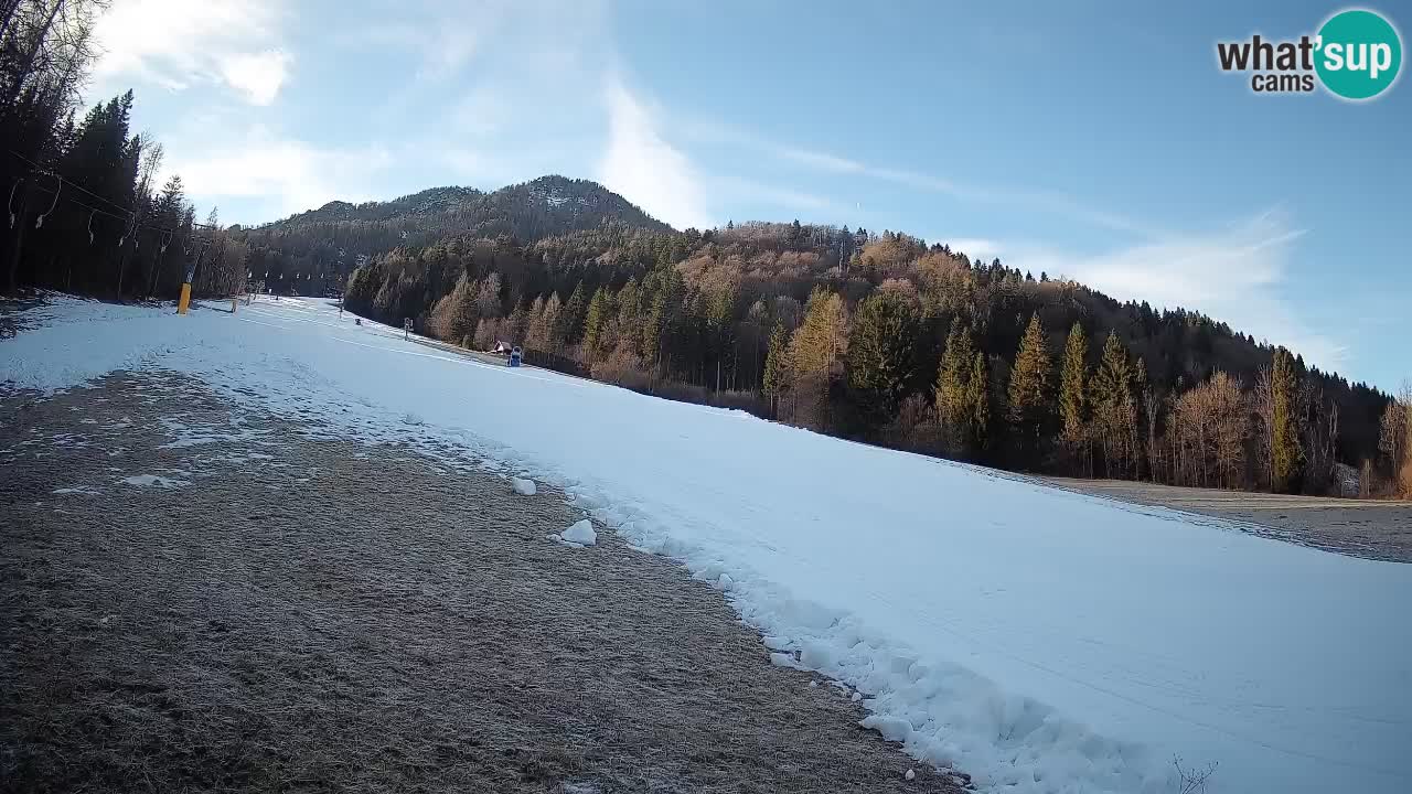 RTC Kranjska Gora | Brsnina