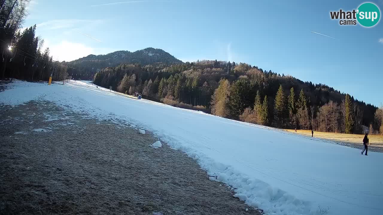 RTC Kranjska Gora | Brsnina