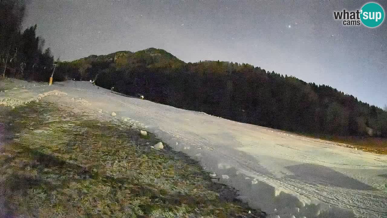 Ski Kranjska Gora | Brsnina