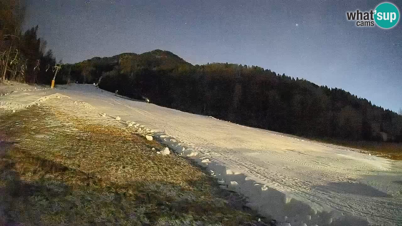 Kranjska Gora Station de ski | Brsnina