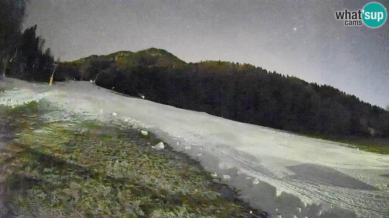 Comprensorio sciistico Kranjska Gora | Brsnina