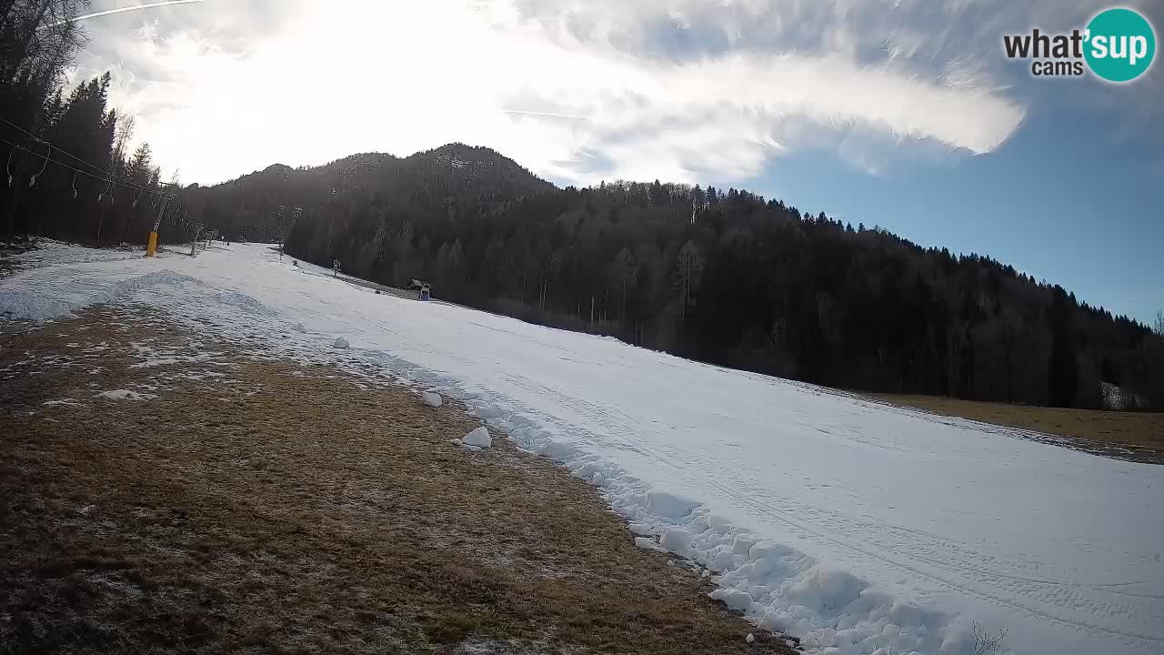 Kranjska Gora Station de ski | Brsnina