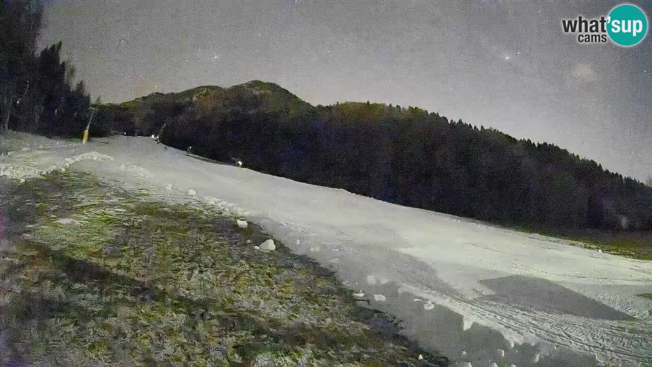 Esquí Kranjska Gora | Brsnina