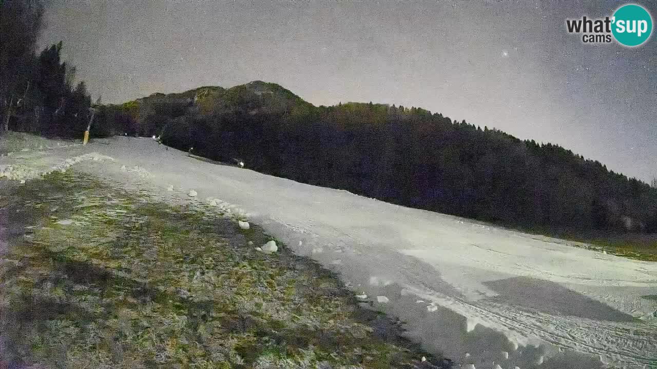 Esquí Kranjska Gora | Brsnina