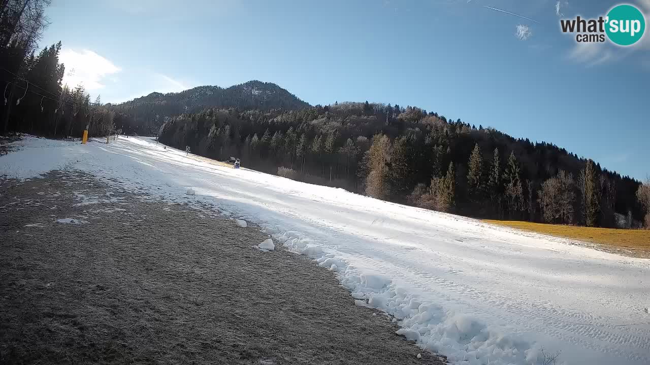 Esquí Kranjska Gora | Brsnina