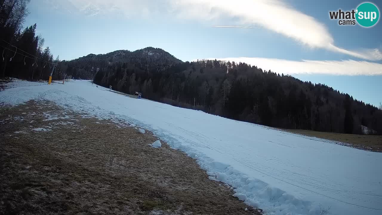 Comprensorio sciistico Kranjska Gora | Brsnina