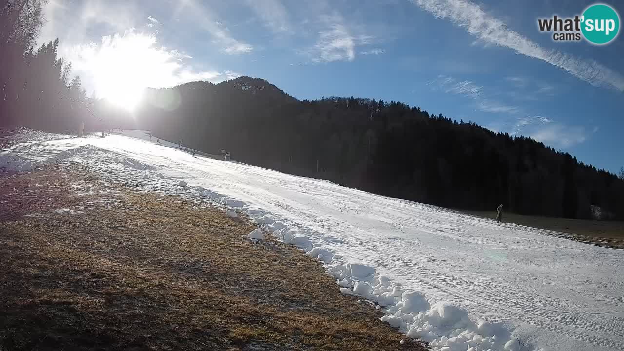 RTC Skigebiet Kranjska Gora | Brsnina