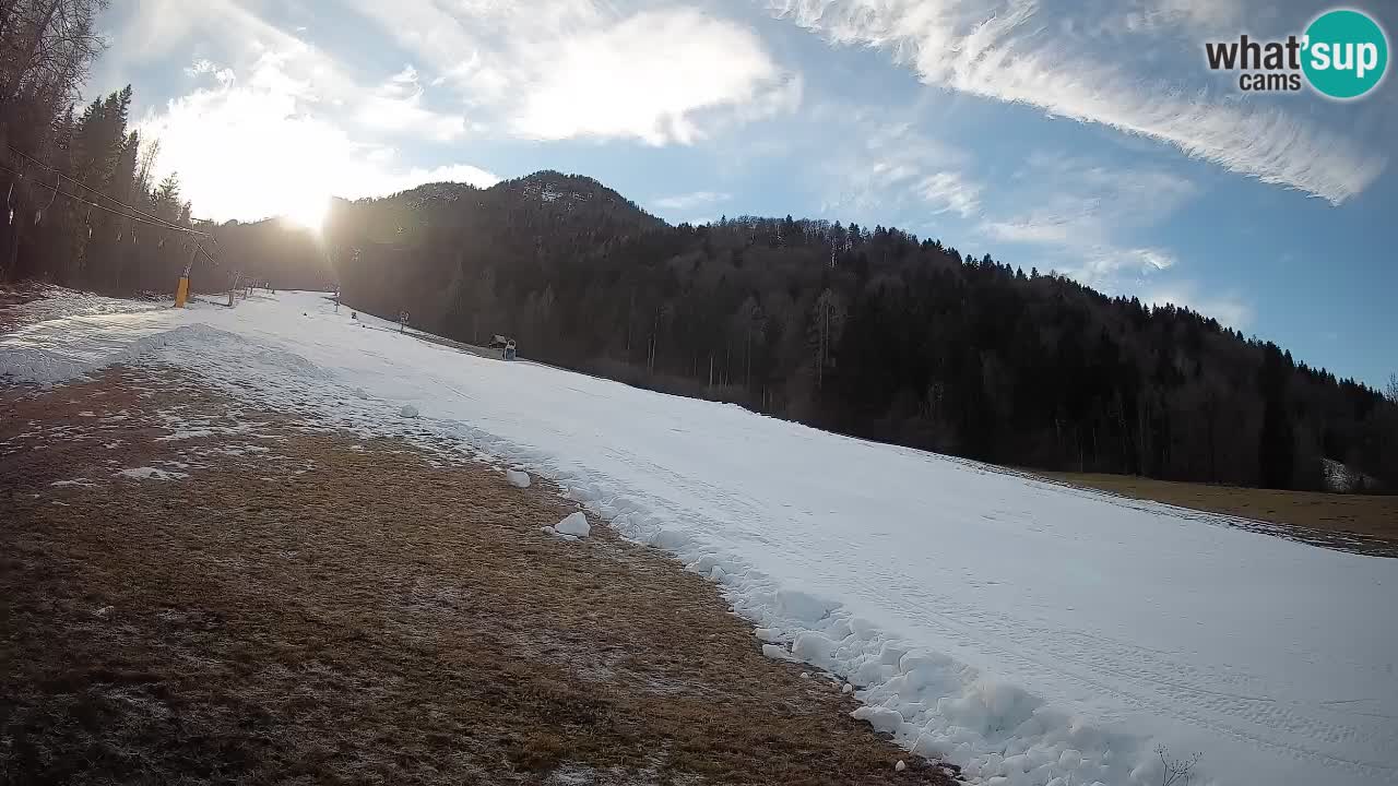RTC Skigebiet Kranjska Gora | Brsnina
