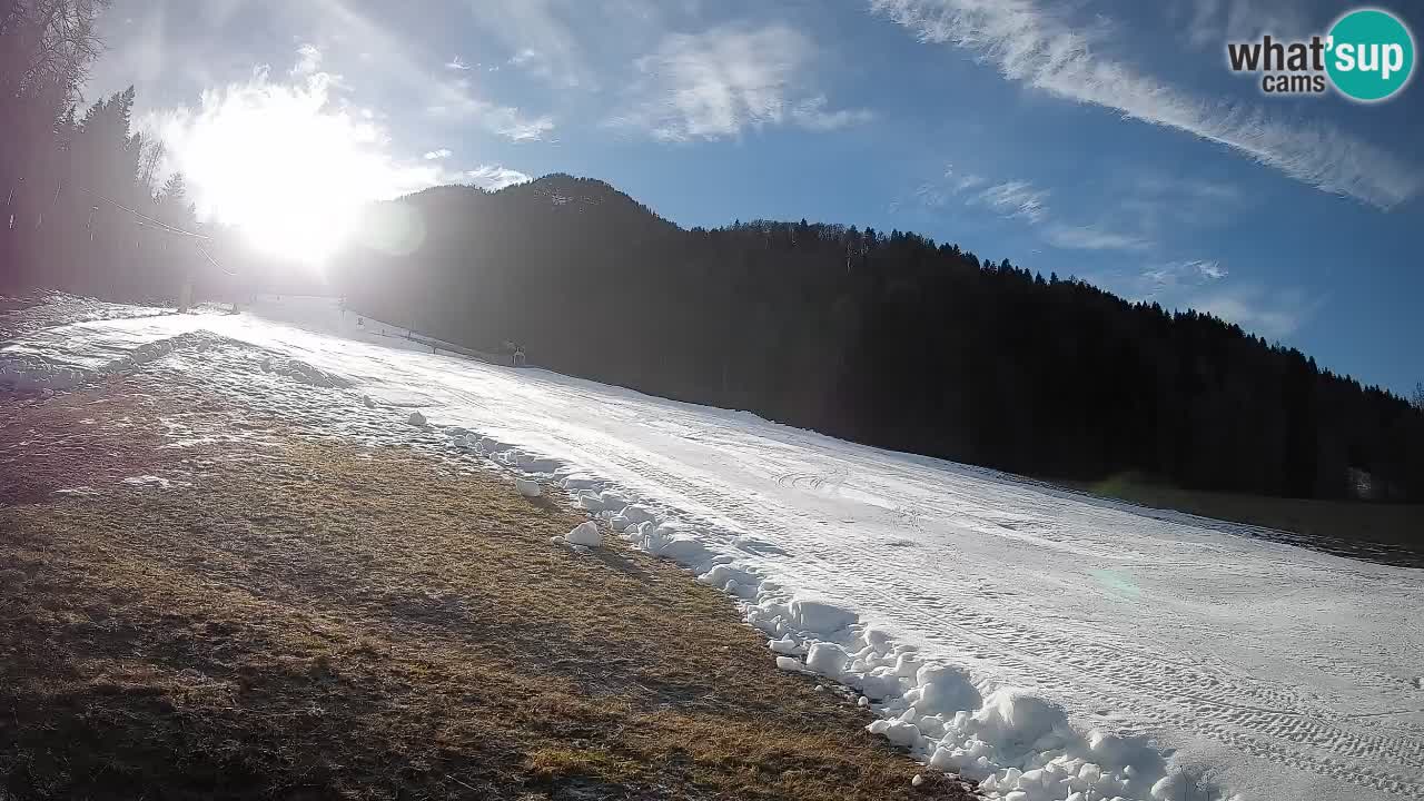 Comprensorio sciistico Kranjska Gora | Brsnina