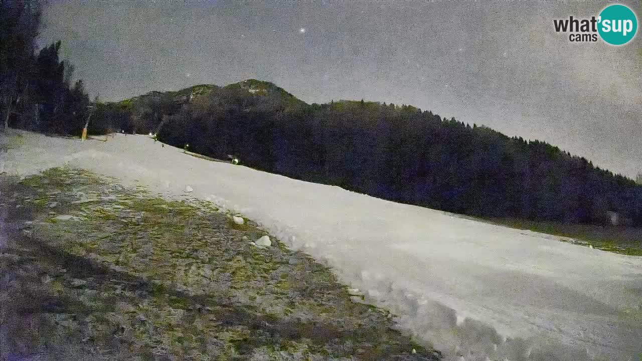 Kranjska Gora Station de ski | Brsnina