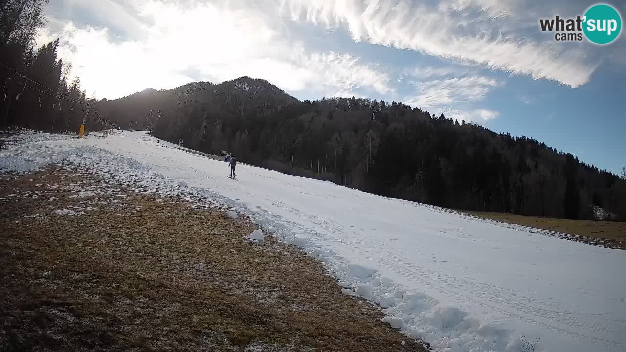 RTC Skigebiet Kranjska Gora | Brsnina