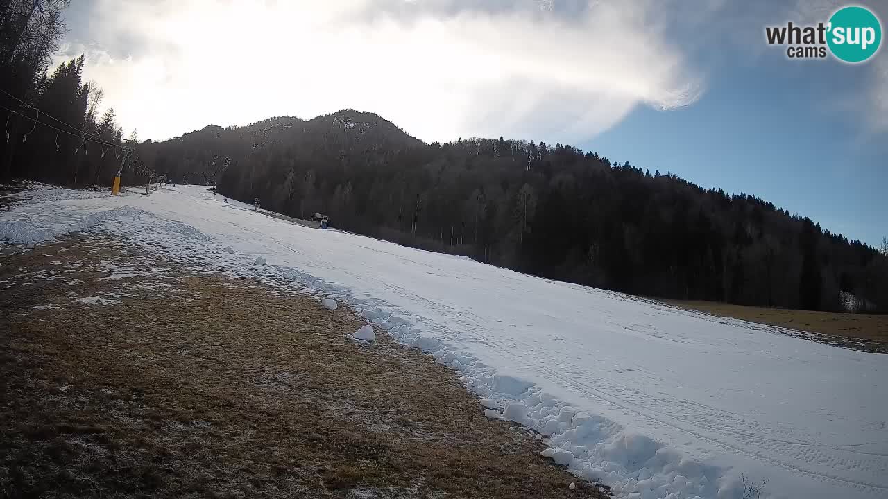 Esquí Kranjska Gora | Brsnina