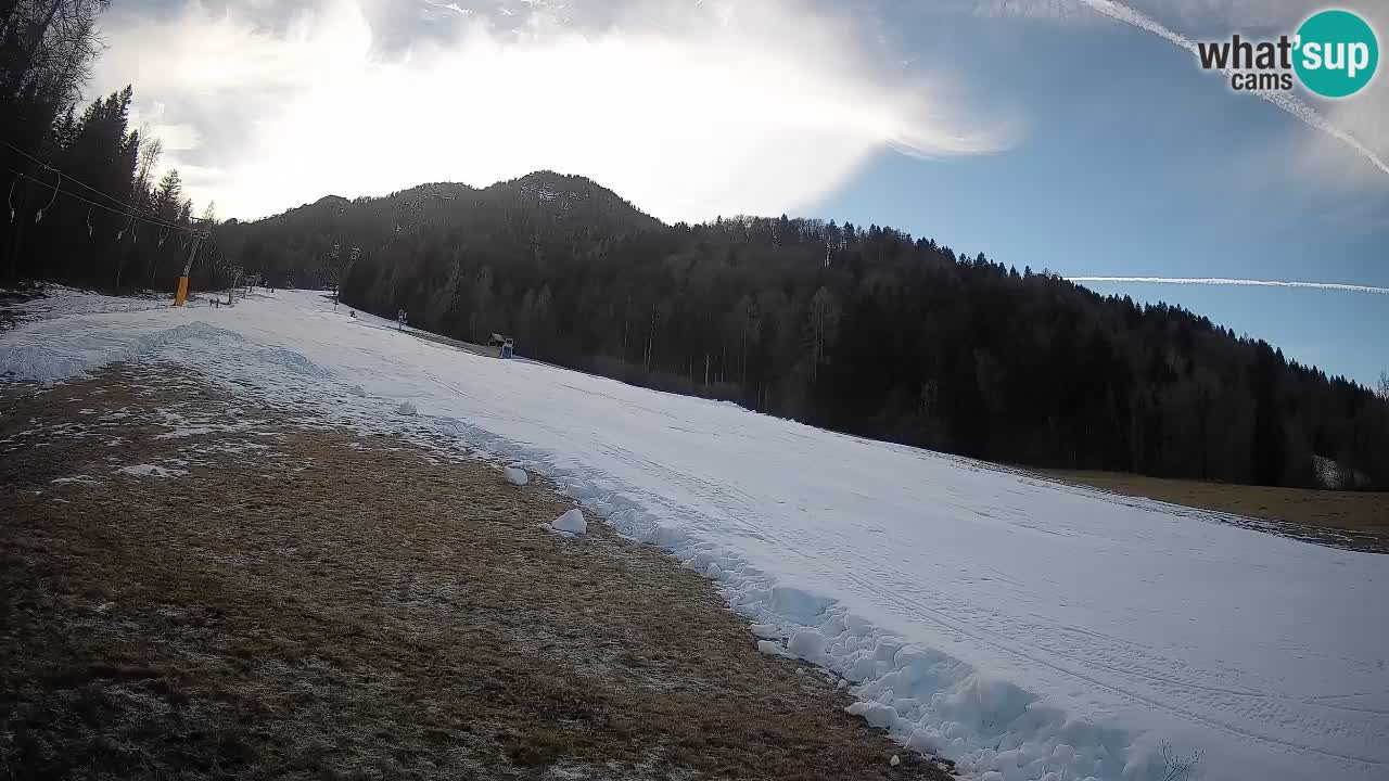 Comprensorio sciistico Kranjska Gora | Brsnina