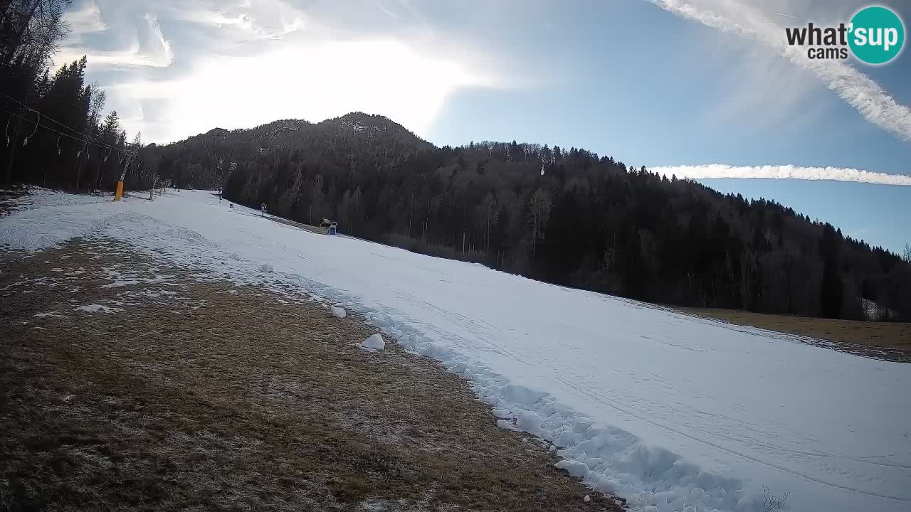Kranjska Gora SKIJANJE | Brsnina