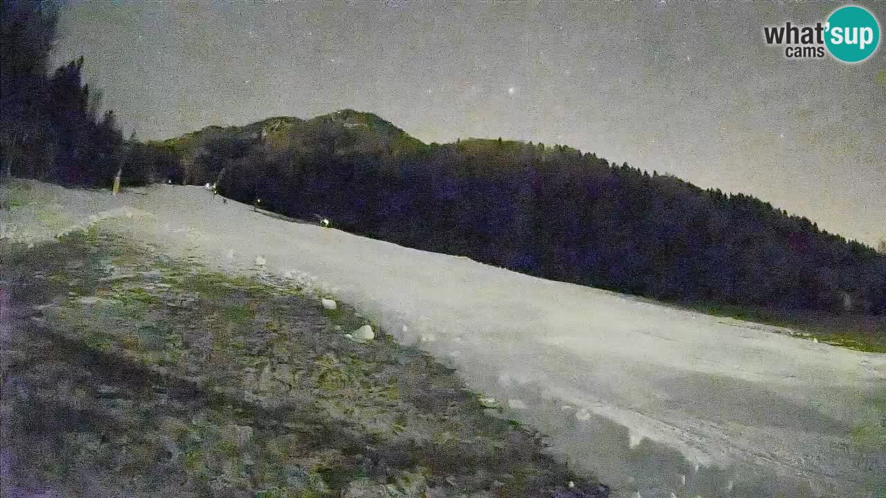 Comprensorio sciistico Kranjska Gora | Brsnina