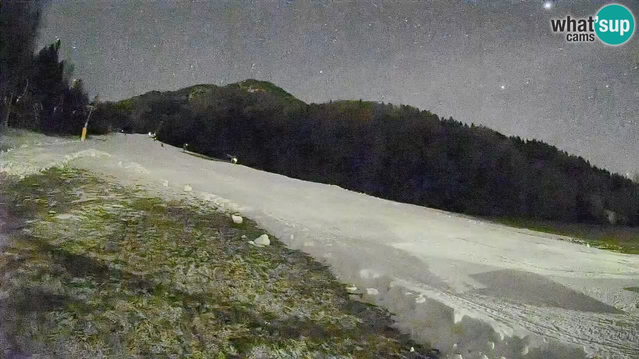 RTC Skigebiet Kranjska Gora | Brsnina