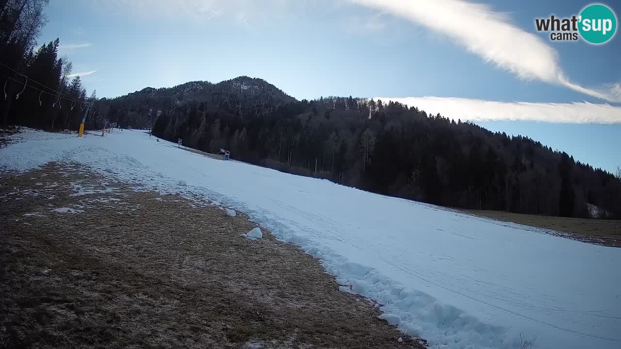 Ski Kranjska Gora | Brsnina