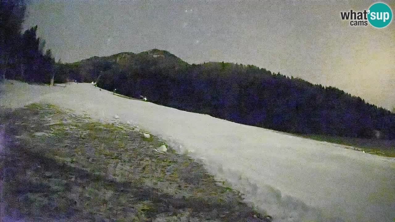 RTC Skigebiet Kranjska Gora | Brsnina