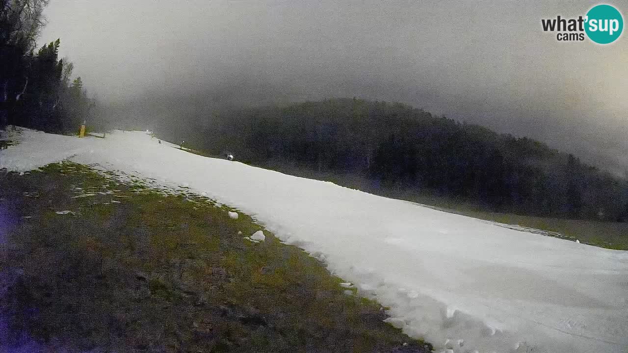 RTC Skigebiet Kranjska Gora | Brsnina