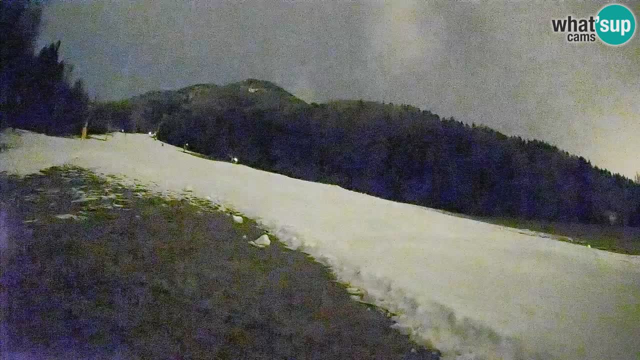 RTC Skigebiet Kranjska Gora | Brsnina