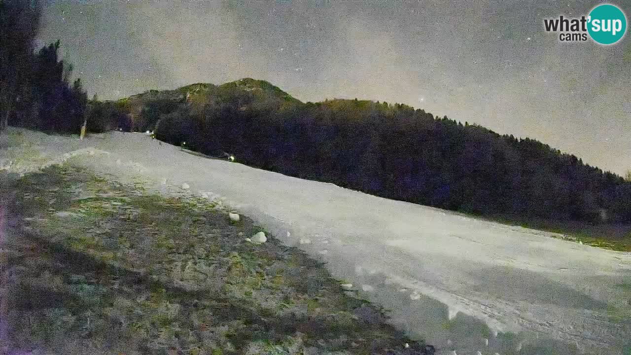 Ski Kranjska Gora | Brsnina