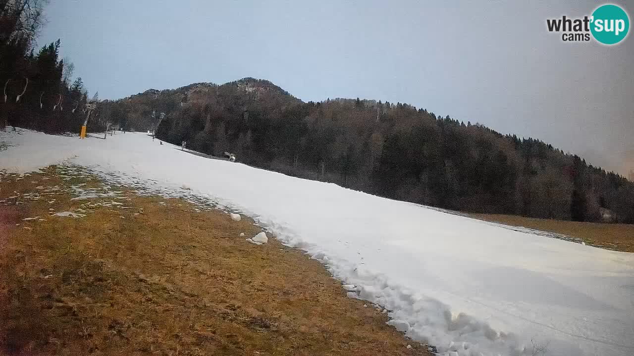 Kranjska Gora SKIJANJE | Brsnina