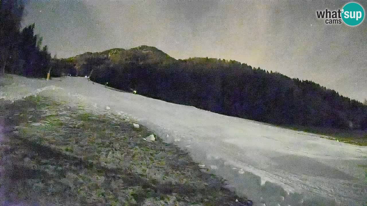 Kranjska Gora Station de ski | Brsnina