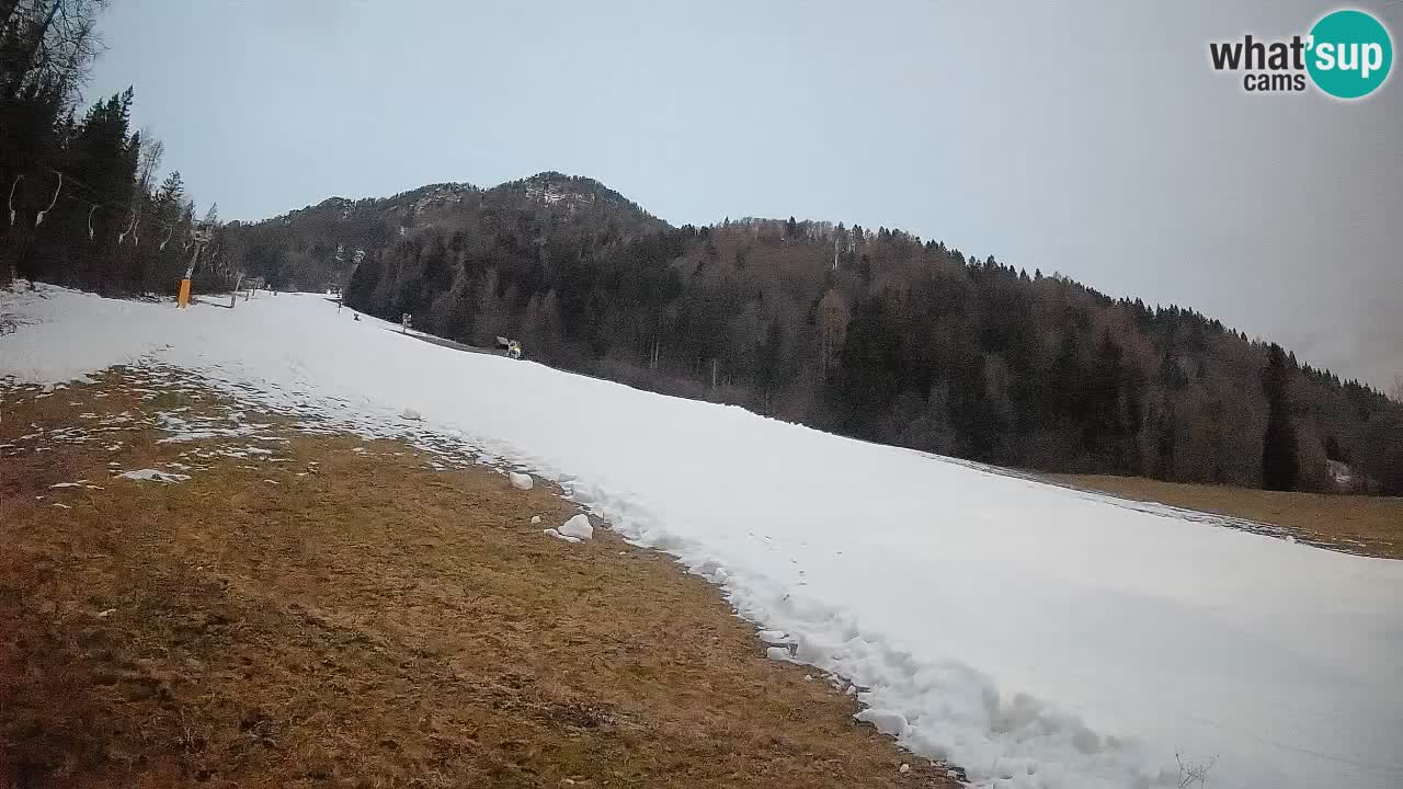 Esquí Kranjska Gora | Brsnina